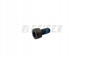 Part H-22R pos 009 screw